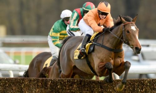 haydock_fixed_brush_hurdle_630x3781