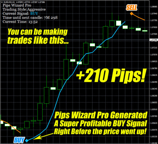 pips wizard pro review