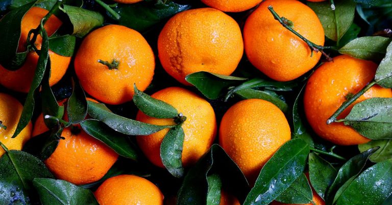Yuzu – 15 Health Benefits of This Fruit You Should Try!