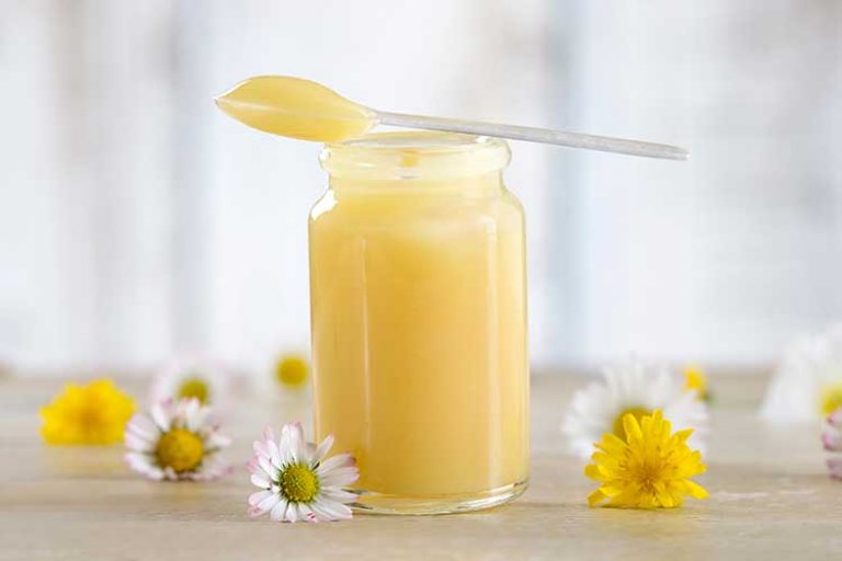 13 Health Benefits of Herbal Jelly You Didn’t Know!