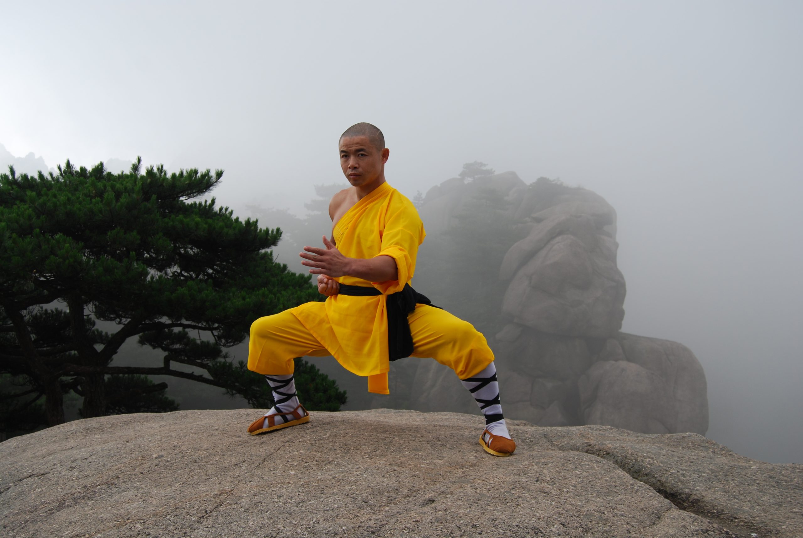 8 Holistic Benefits Of Shaolin Qigong Exercise For Health 