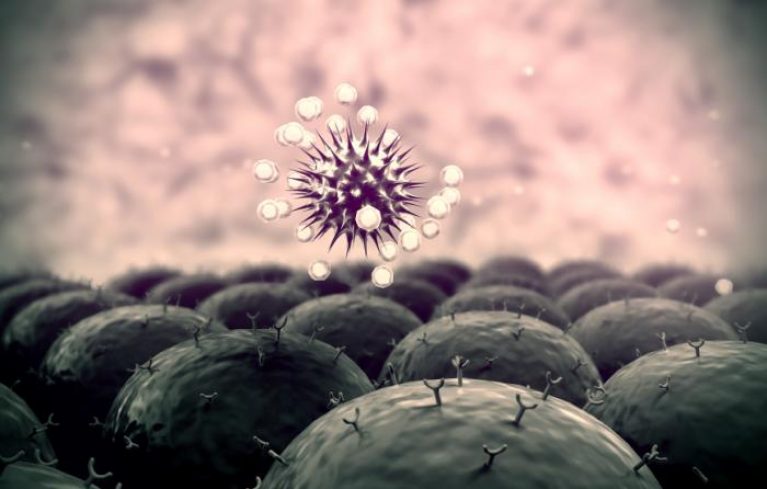 Psychoneuroimmunology (PNI), the Power of the Mind!