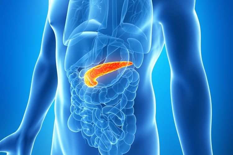 What Foods Can Help You to Heal Your Pancreas?
